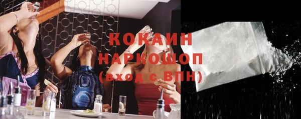 соль ск Снежинск